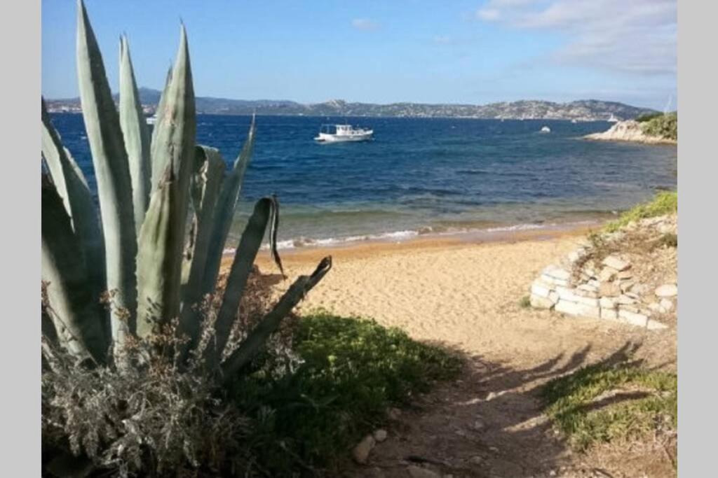 Casa Maddalenina Con Giardino, Vicino Al Mare! Daire La Maddalena  Dış mekan fotoğraf